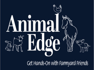 Animal Edge https://w8g.777.myftpupload.com/wp-content/uploads/2025/05/Animal-Edge-320x240.png